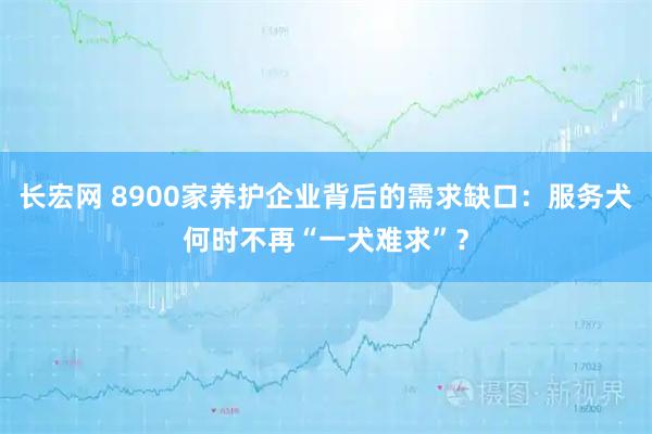 长宏网 8900家养护企业背后的需求缺口：服务犬何时不再“一犬难求”？
