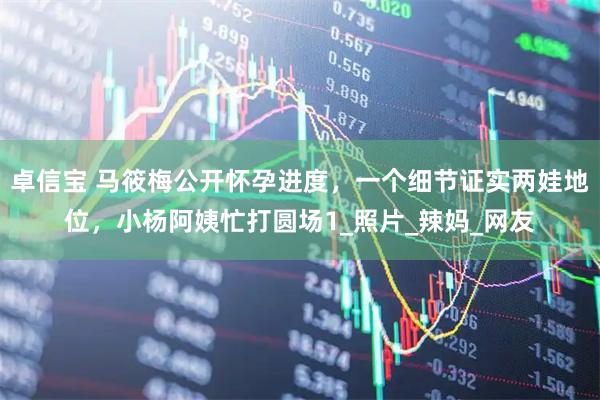 卓信宝 马筱梅公开怀孕进度，一个细节证实两娃地位，小杨阿姨忙打圆场1_照片_辣妈_网友