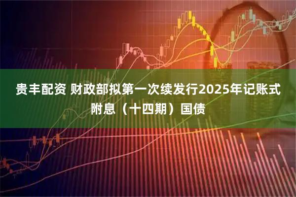 贵丰配资 财政部拟第一次续发行2025年记账式附息（十四期）国债