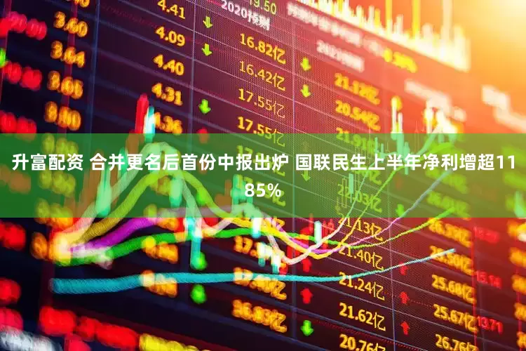 升富配资 合并更名后首份中报出炉 国联民生上半年净利增超1185%