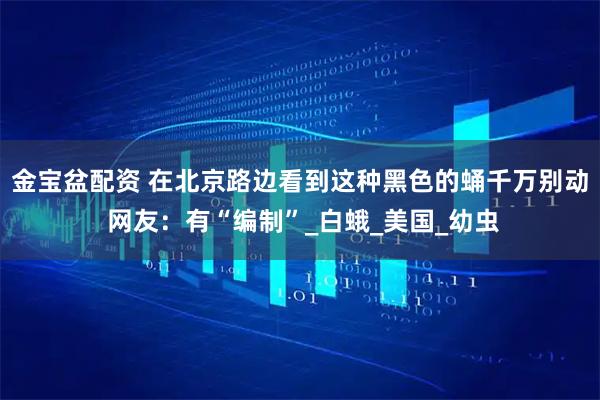 金宝盆配资 在北京路边看到这种黑色的蛹千万别动 网友：有“编制”_白蛾_美国_幼虫